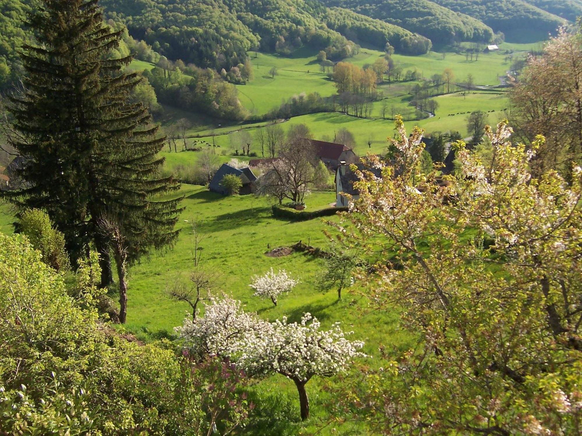 Auberge Hotel De Tournemire - Cantal Zewnętrze zdjęcie