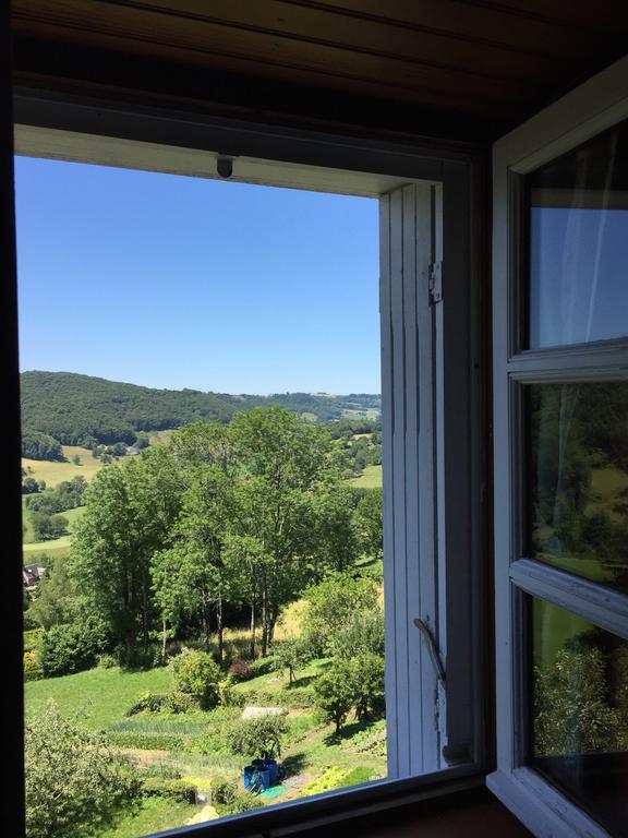 Auberge Hotel De Tournemire - Cantal Zewnętrze zdjęcie